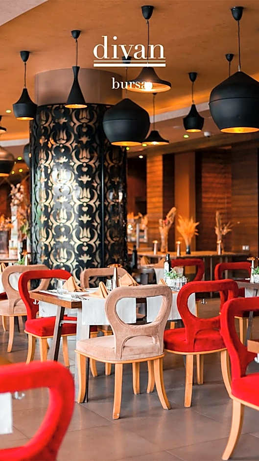 Divan Bursa
