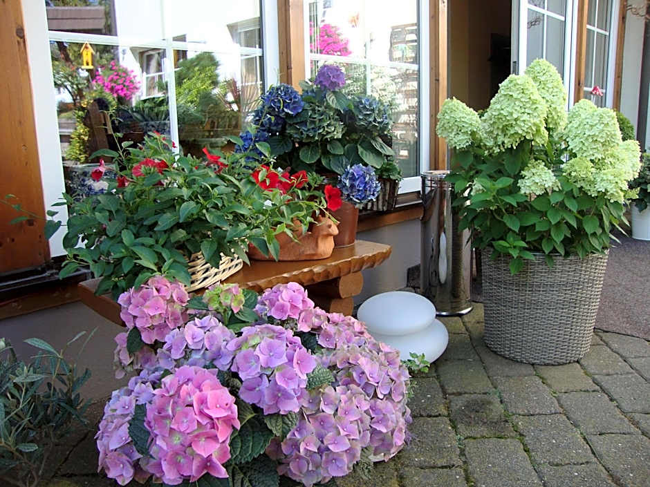 Hotel Bergschlosschen