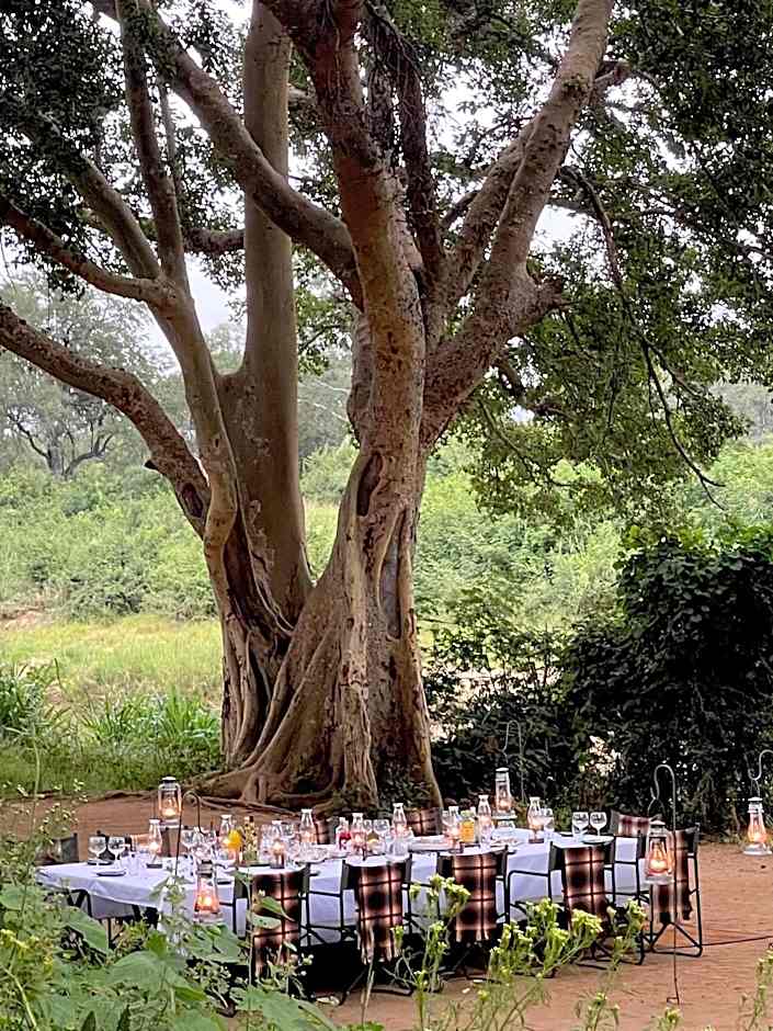 Karongwe - Chisomo Safari Camp