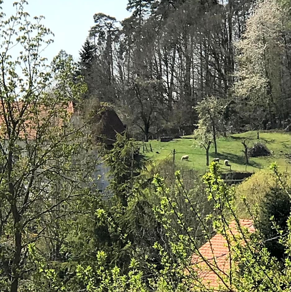 Le Clos d'Auré.