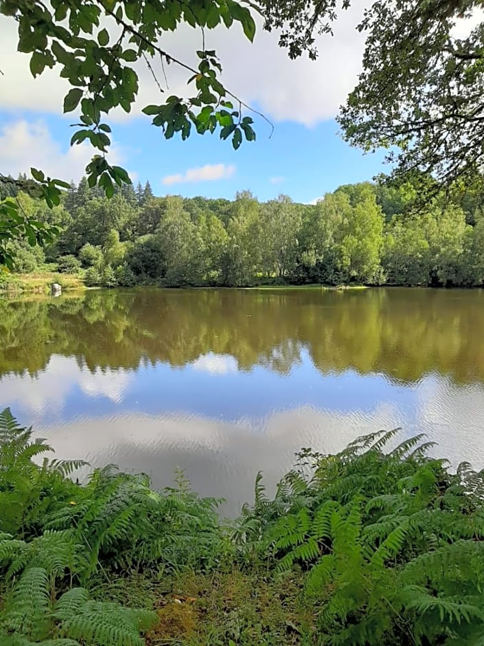 Chateau Sourliavoux, appartement en chambres d'hôtes