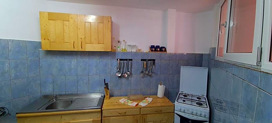 Pensiunea Aurora - Great hostel Voineasa