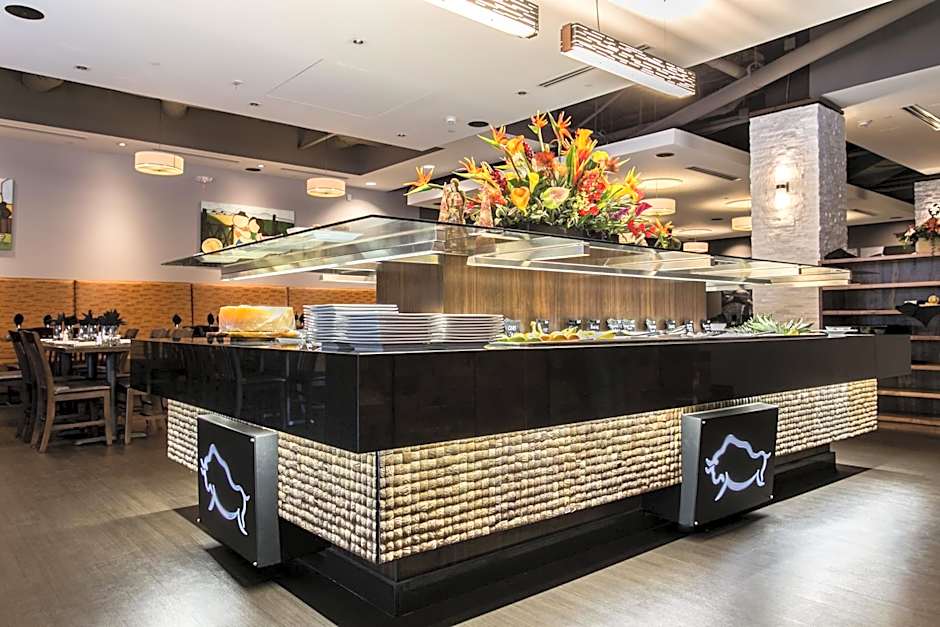 Holiday Inn & Suites Chattanooga Downtown by IHG