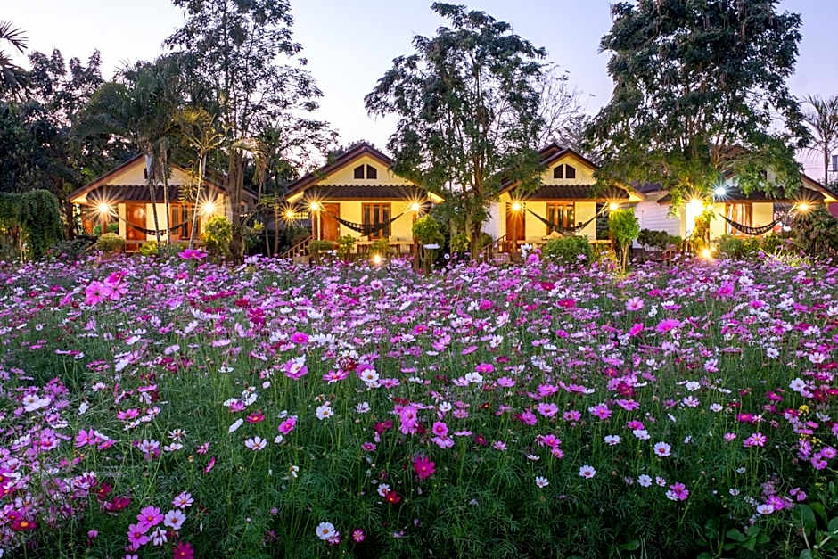 The Nest House
