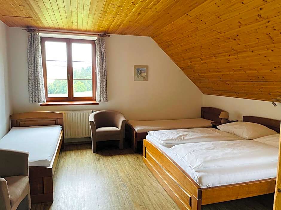 Penzion Pod Dratnikem