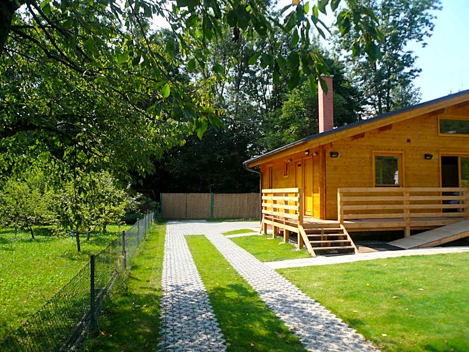 Chalets under Falcon Ridge