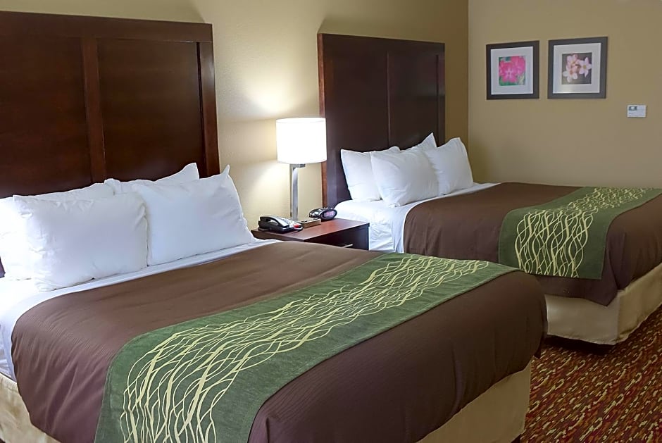 Comfort Inn & Suites Artesia