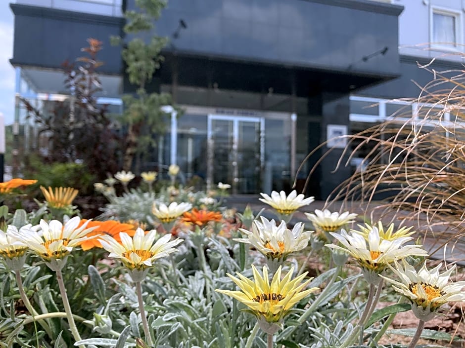 Toyoko Inn Hikone-eki Higashi-guchi