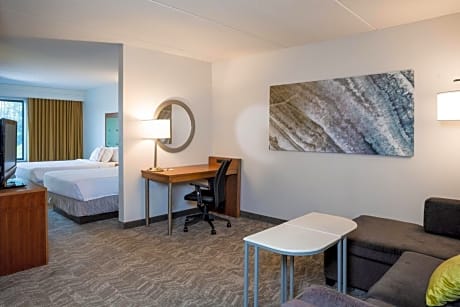 SpringHill Suites by Marriott Hampton