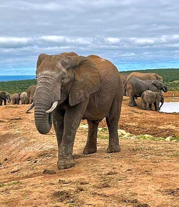 Jeffreys Bay - Life on the Canals