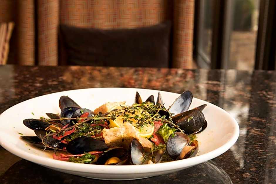 Hilton Chicago/Oak Lawn