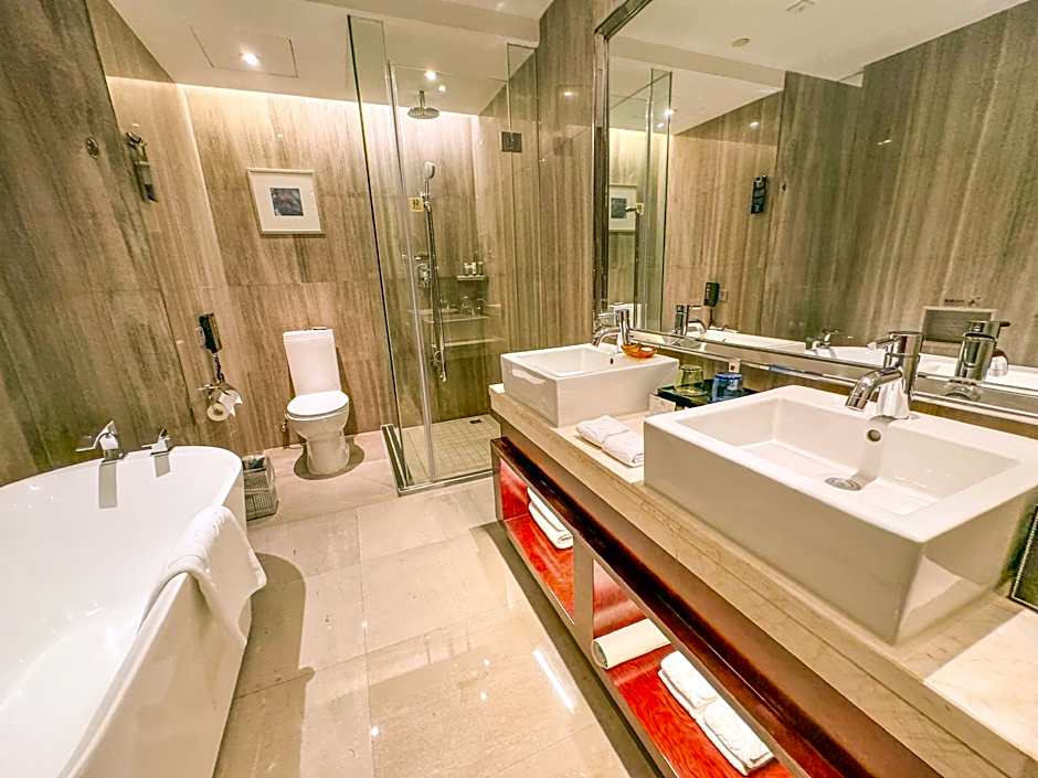 Grand Metro Park Universal Dinosaur Town Hotel