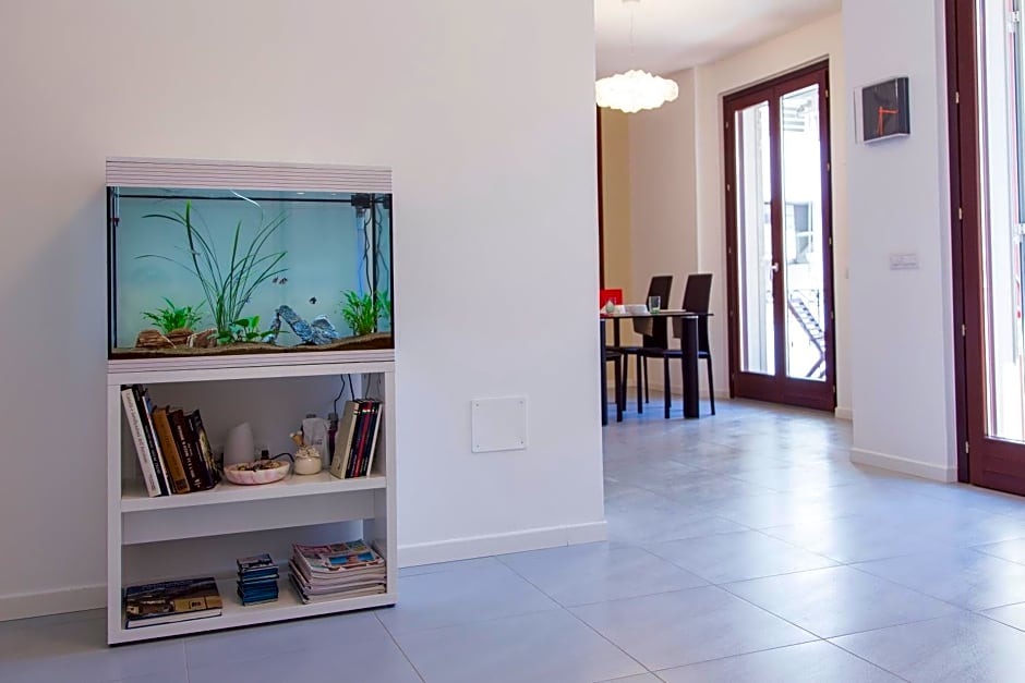B&B Aquarium