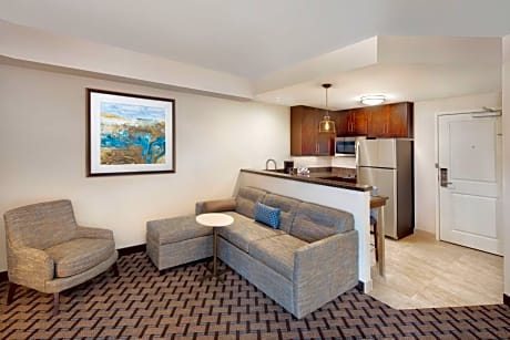 Residence Inn by Marriott Seattle South/Renton