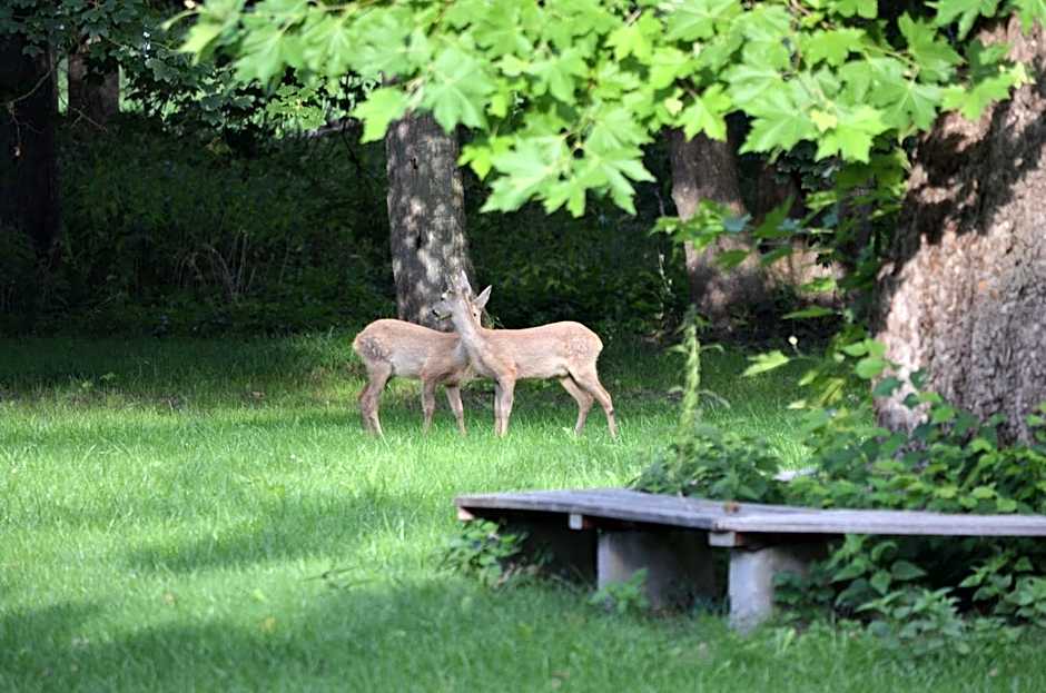 Boutiquehotel Gut Tribbevitz auf Rügen