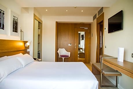 Double or Twin Room with Terrace