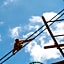 Play Ground BASE -higashikawa-