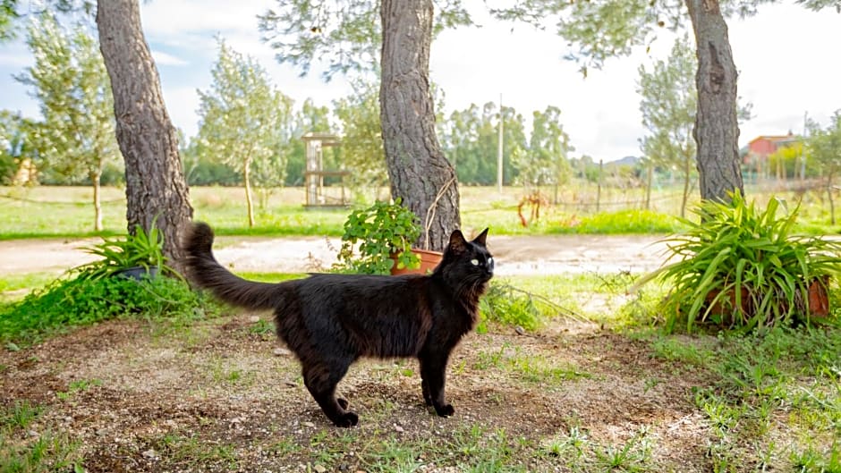 Affittacamere Soleluna