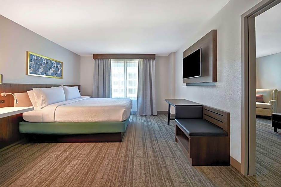 Hilton Garden Inn Houston/Galleria Area