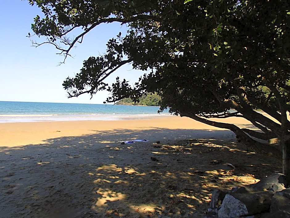 Daintree Crocodylus