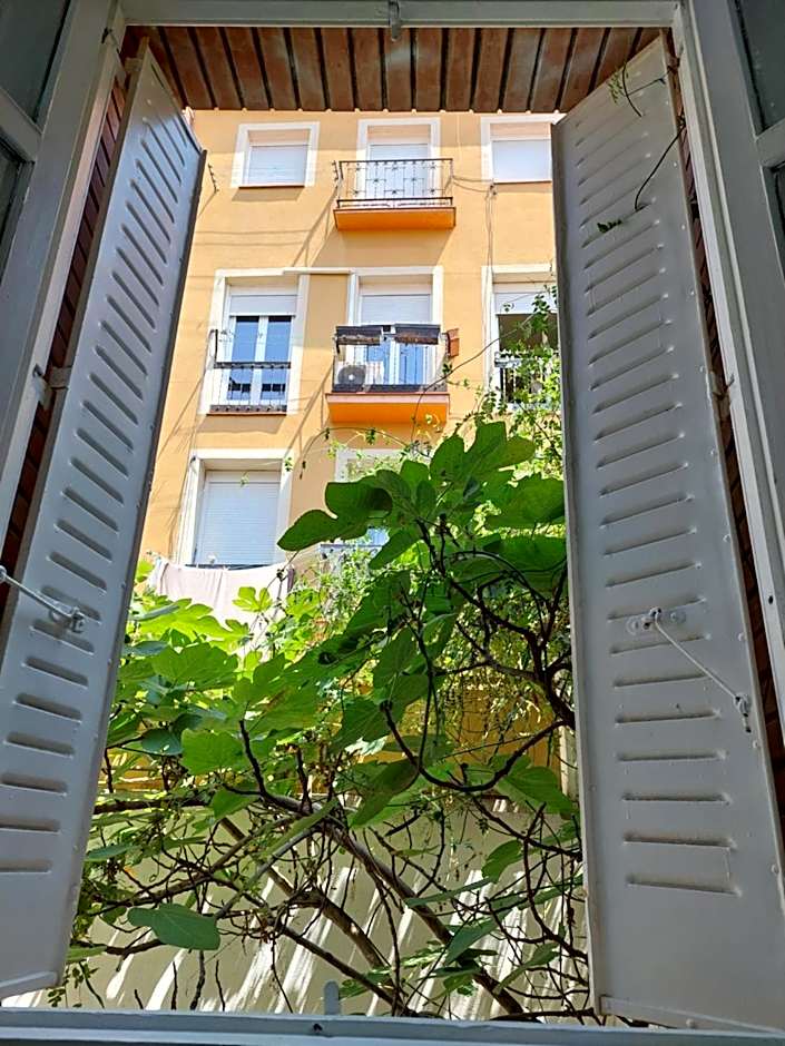 N1 Casa de Madrid - greenpeace line