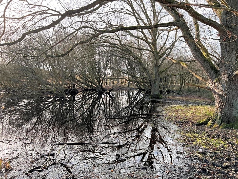 Bed&Breakfast Jonker