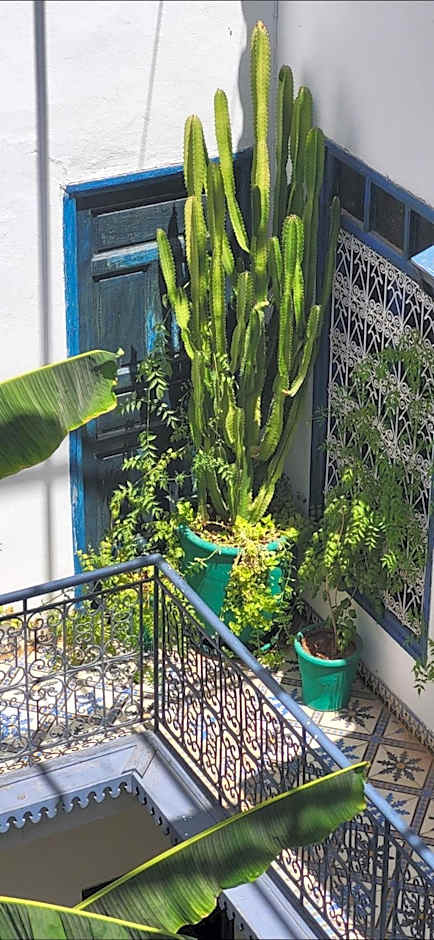 Riad Aloes & Spa