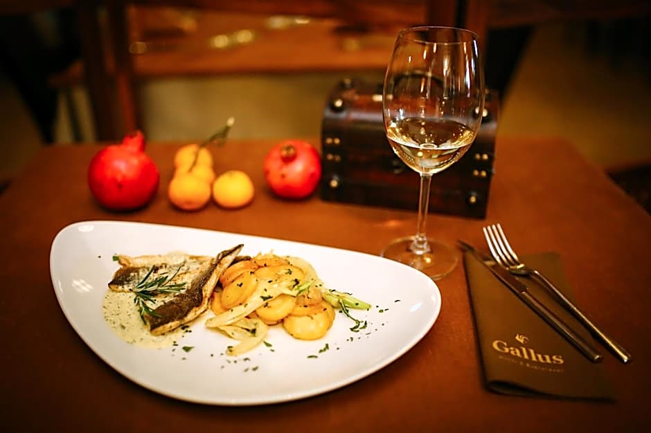 Hotel Gallus