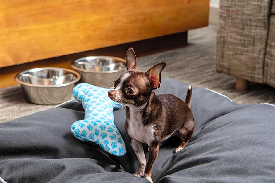 Element Chattanooga East