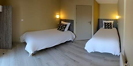 Superior Twin Room with Terrace