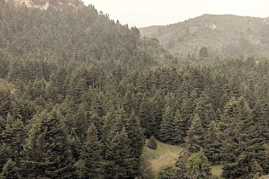 MANNA, a Member of Design Hotels