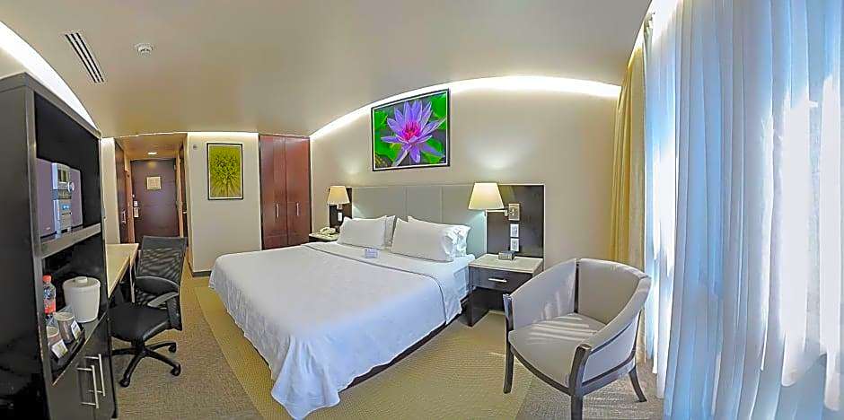 Holiday Inn Hotel & Suites Mexico Medica Sur By IHG
