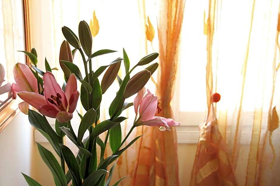 Residence Al Bacareto