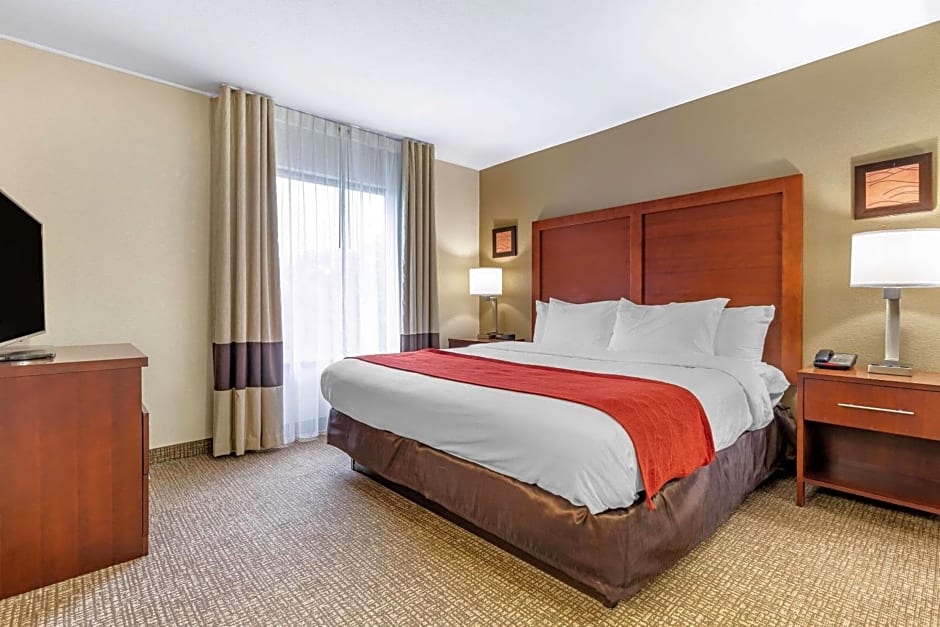 Comfort Inn & Suites Clemson - University Area
