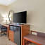 Comfort Suites At Virginia Center Commons