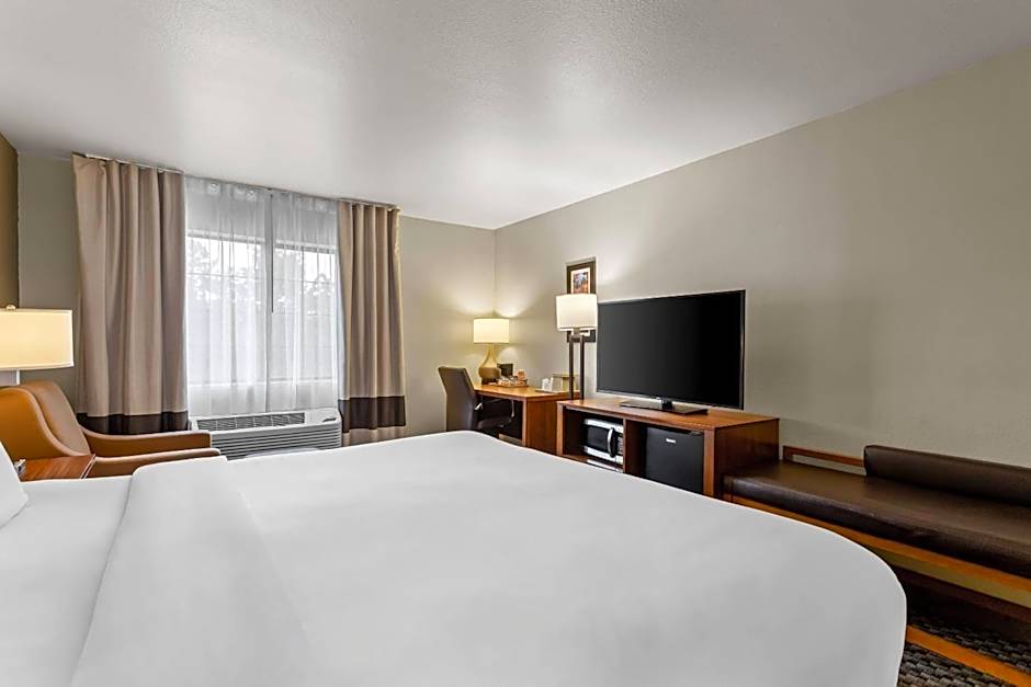 Comfort Inn & Suites Midtown