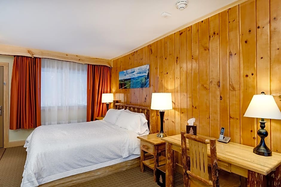 Adirondack Spruce Lodge
