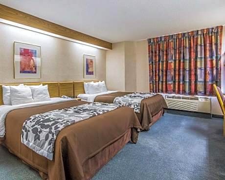 2 Queen Beds, Nonsmoking