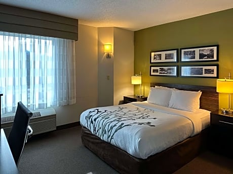 1 Queen Bed, Nonsmoking, Accessible