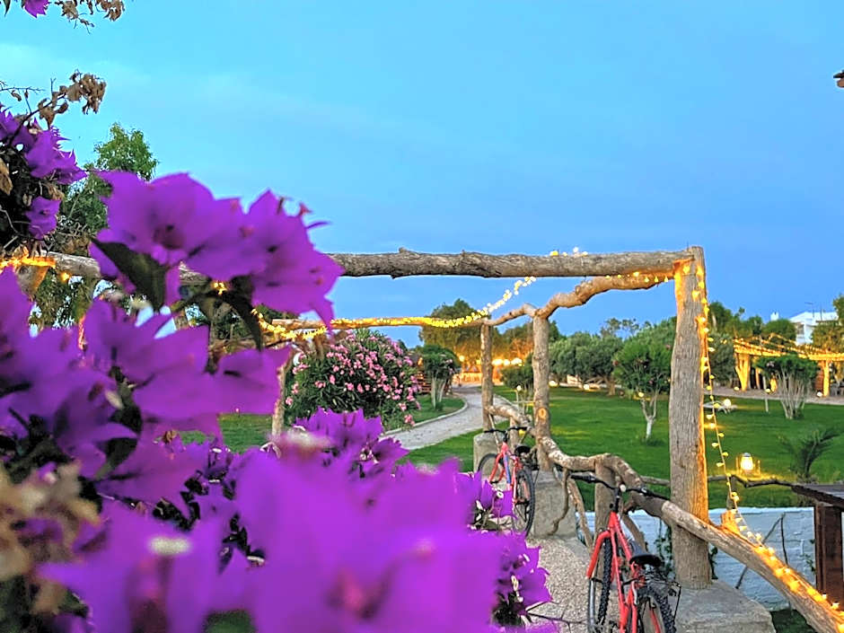 Eco Beach And Magic Garden Hotel