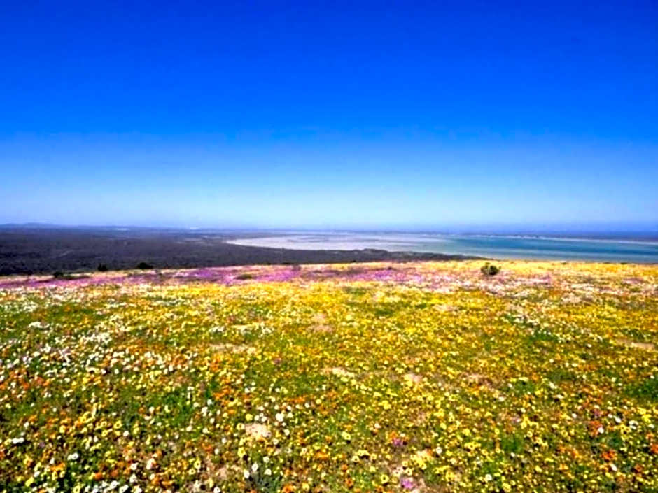 Alabaster Luxe Villa