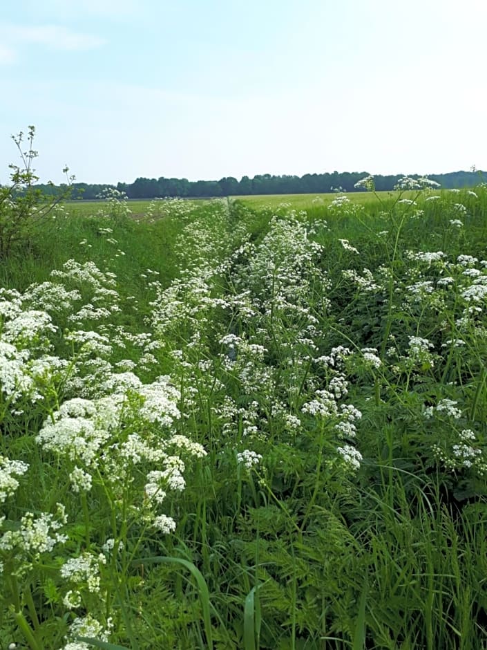 Gezond Boeren Verstand