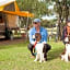 Torquay Foreshore Caravan Park