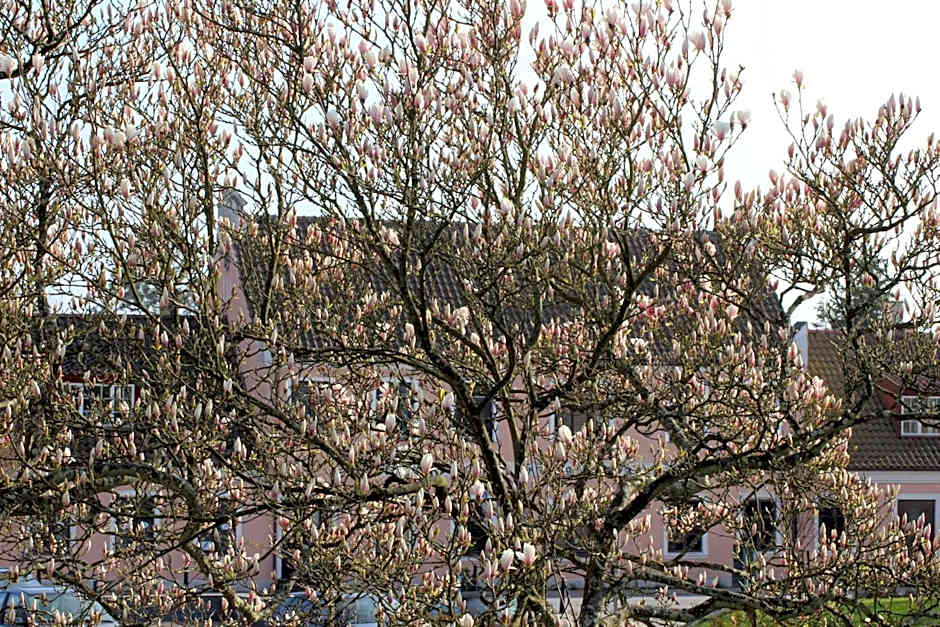 Skivarps Gästgivaregård