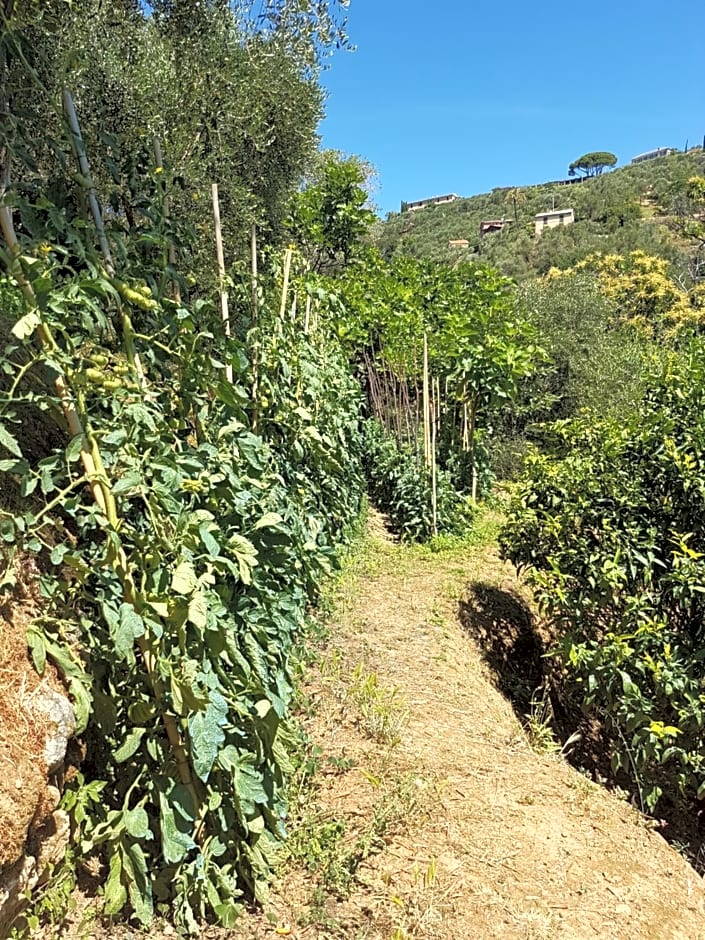 B&B Portofino