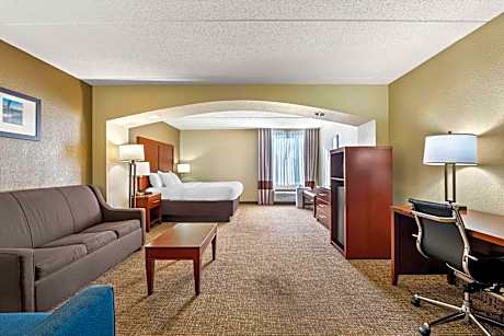Deluxe King Suite with Sofa Bed - Non-Smoking