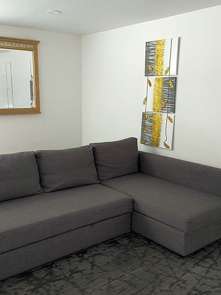 2 bedroom apt west side Saint John