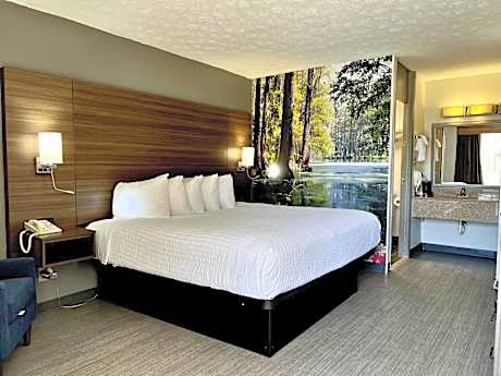 1 King Bed Smoking