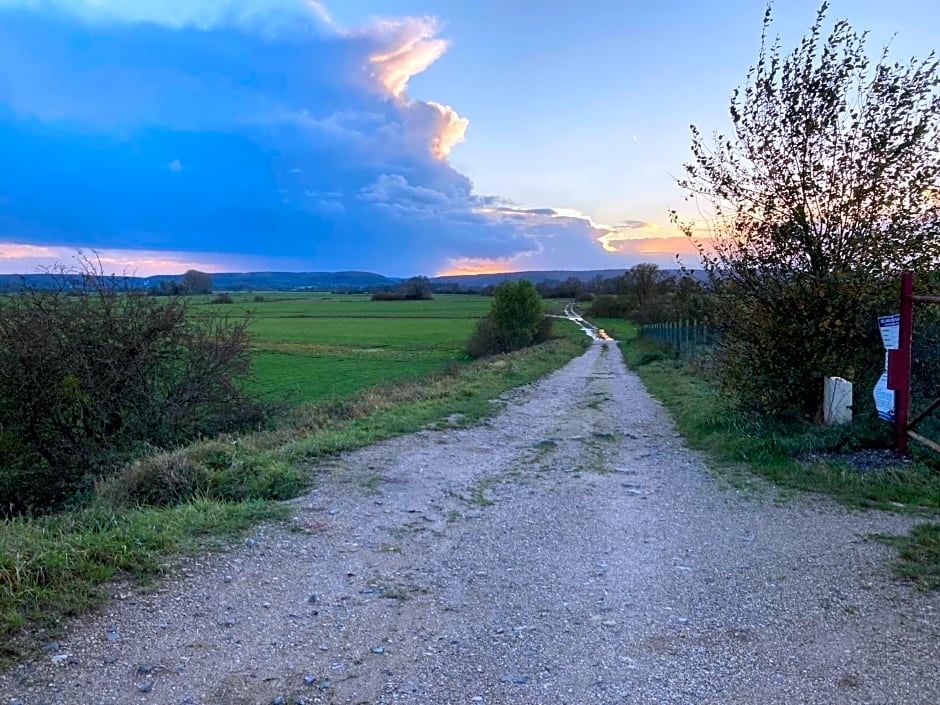 Maison Les Beaux Arts