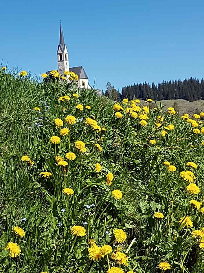 Hotel und Restaurant Alpina